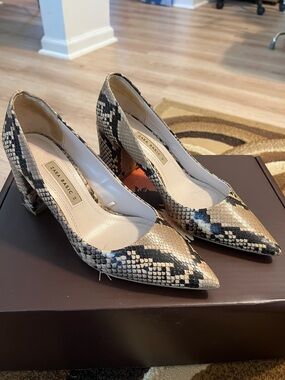 Zara Snake-Print Pointed Block Heel Pumps - Beige & Black
